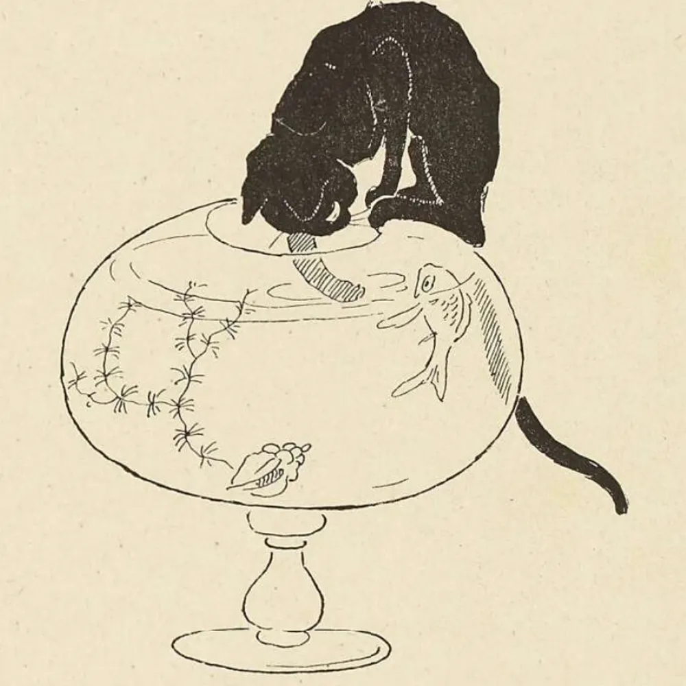 jpagir.bsky.social's profile picture