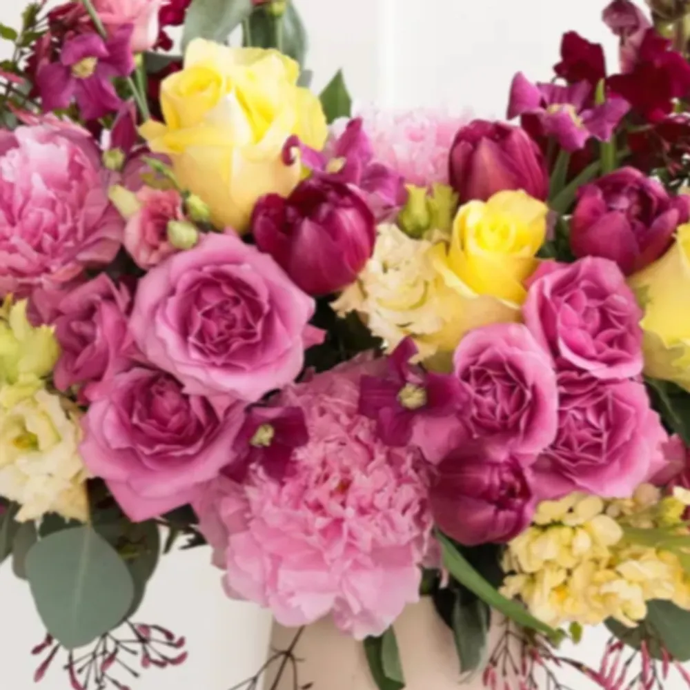 skeets4u.bsky.social's profile picture