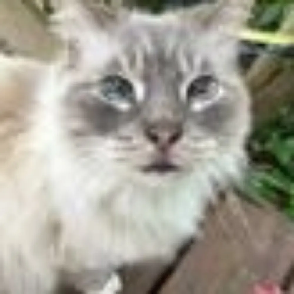 johns3785.bsky.social's profile picture