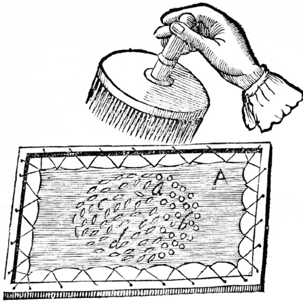 devinsanchezcurry.com's profile picture