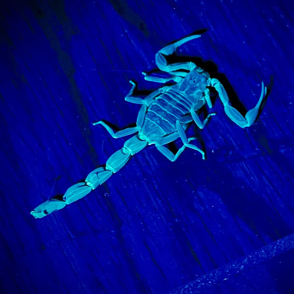 astrometrix.bsky.social's profile picture