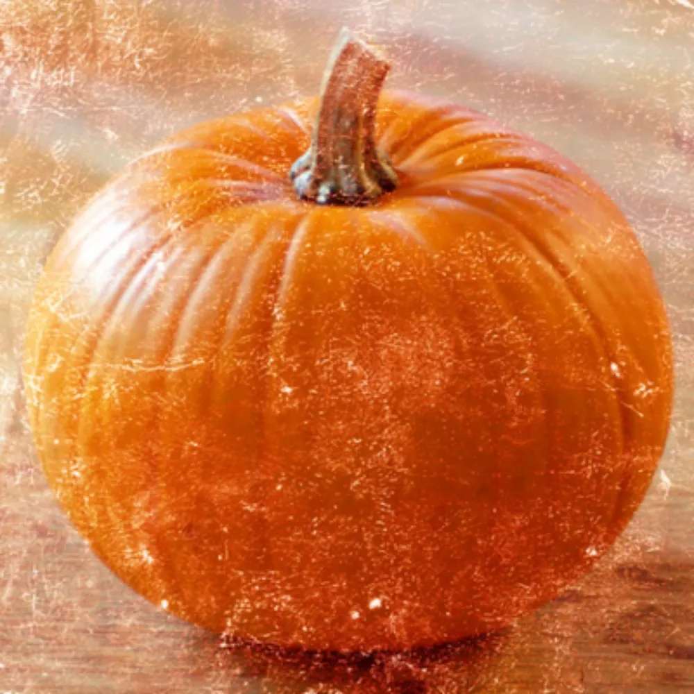 hauntedpumpkin.bsky.social's profile picture