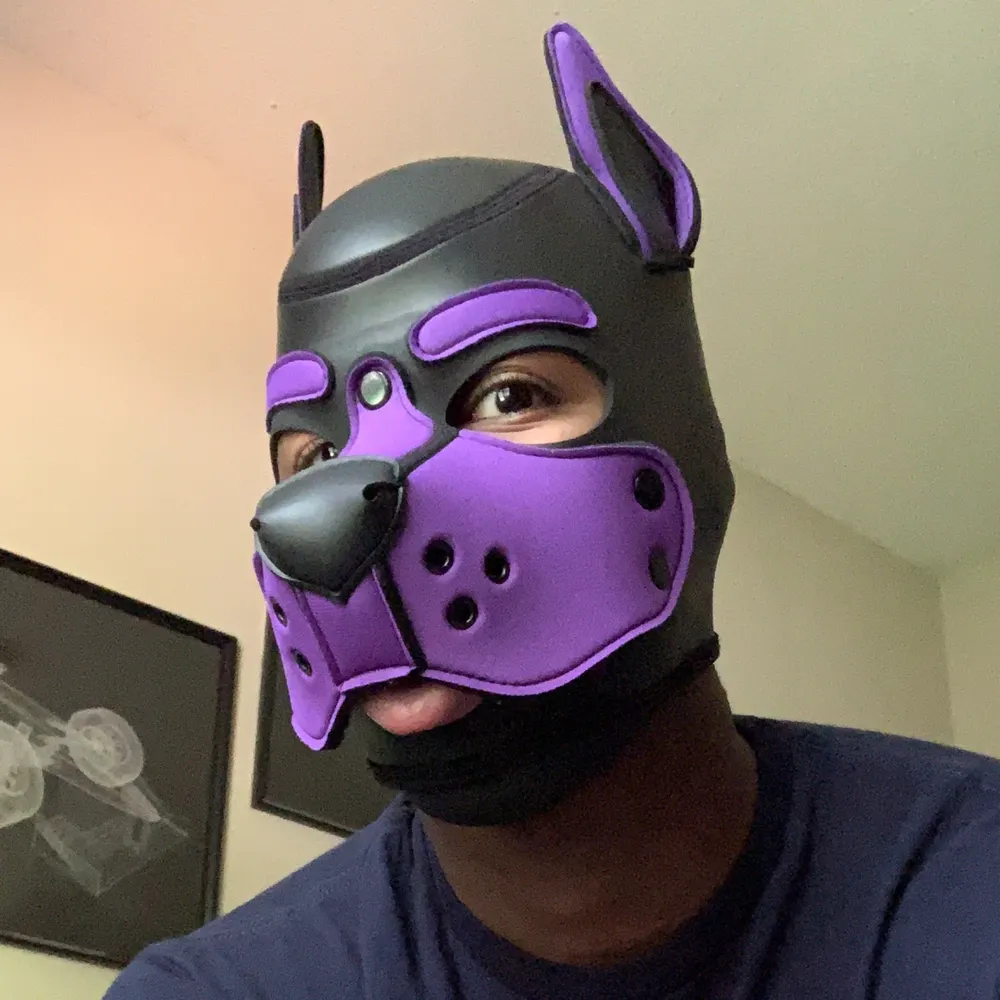 puplouie.bsky.social's profile picture