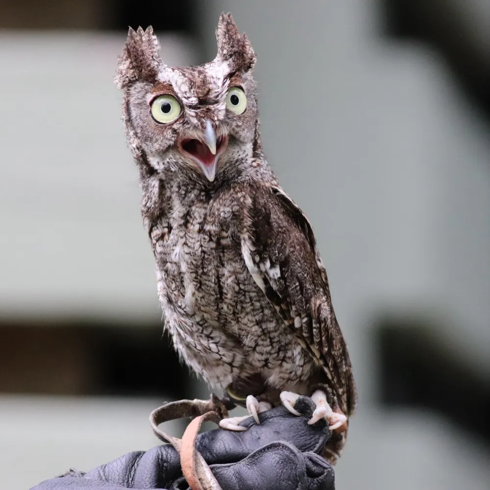 bk1165.bsky.social's profile picture