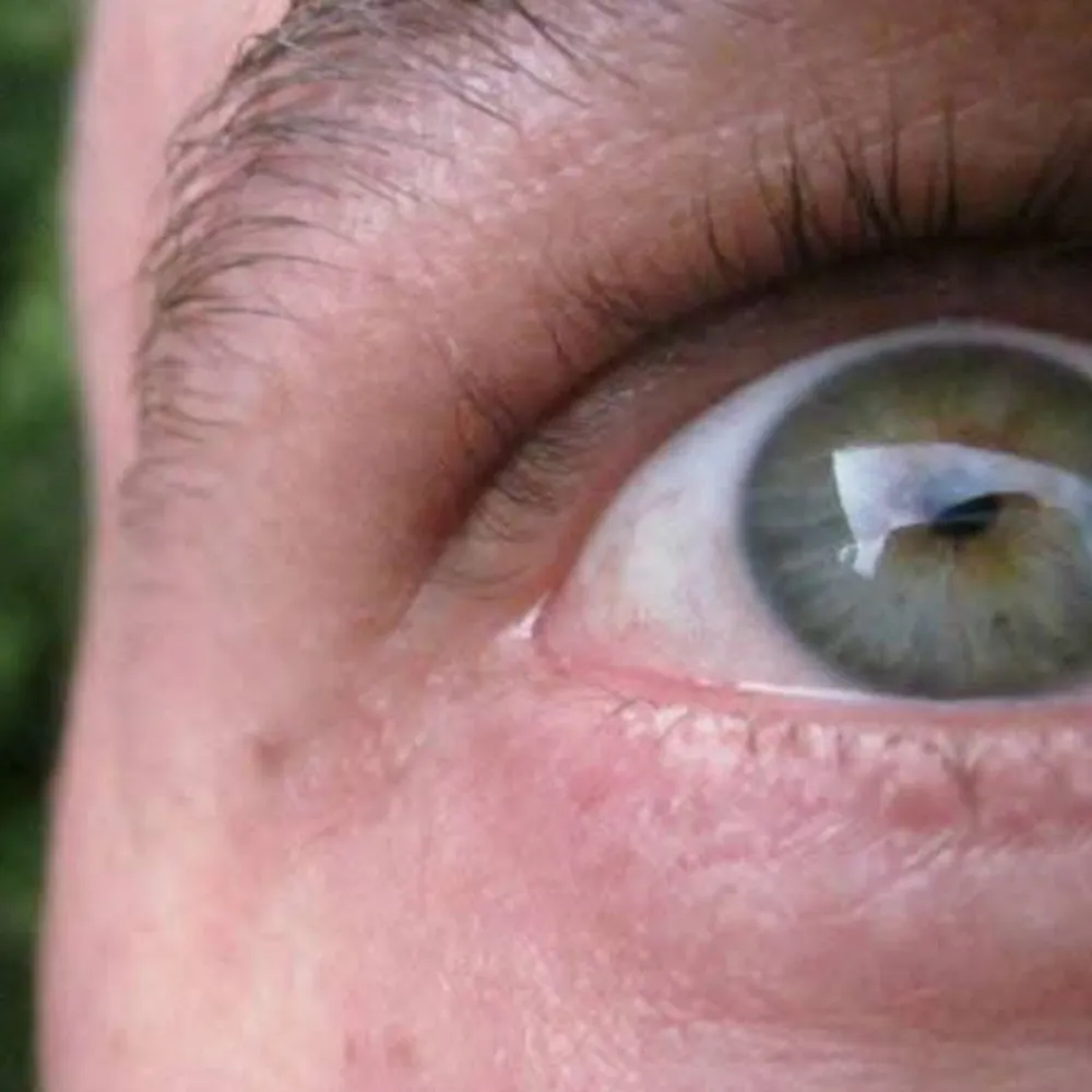 mickey-buntzestes.bsky.social's profile picture