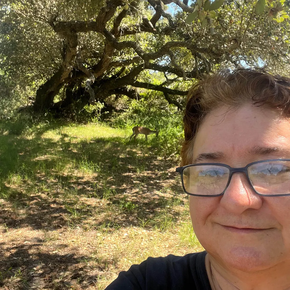 melina4016.bsky.social's profile picture