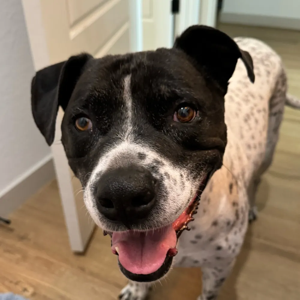 skepticcircuit.bsky.social's profile picture