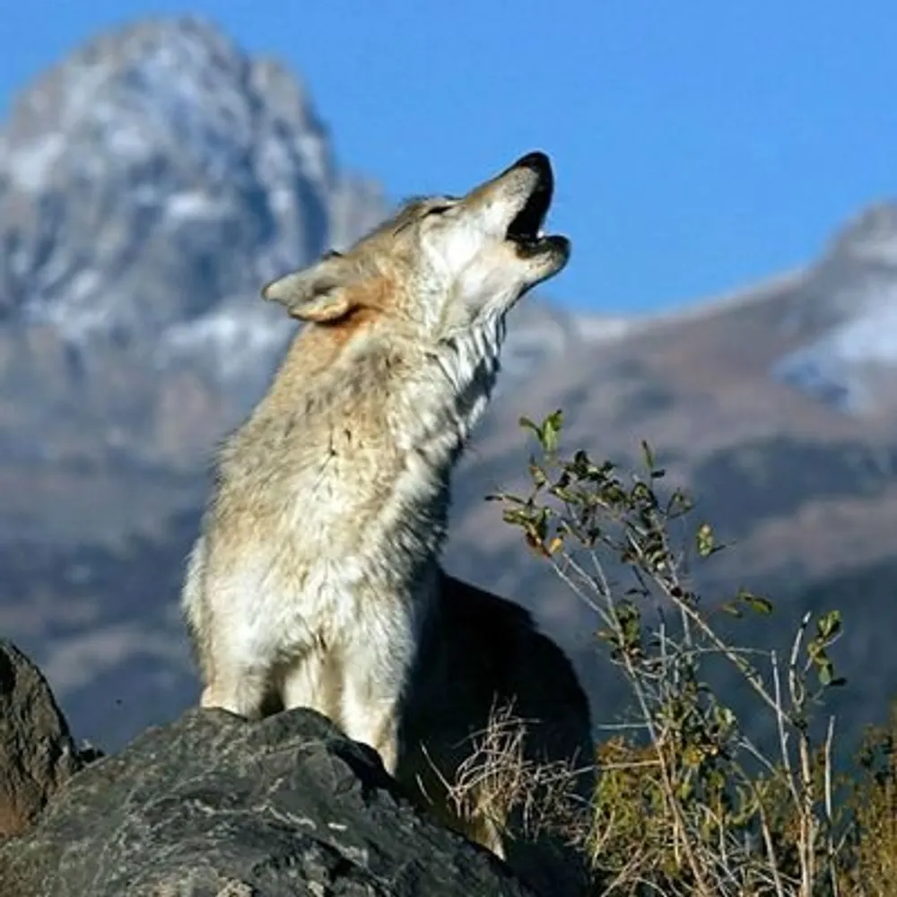 rkbrown2230.bsky.social's profile picture