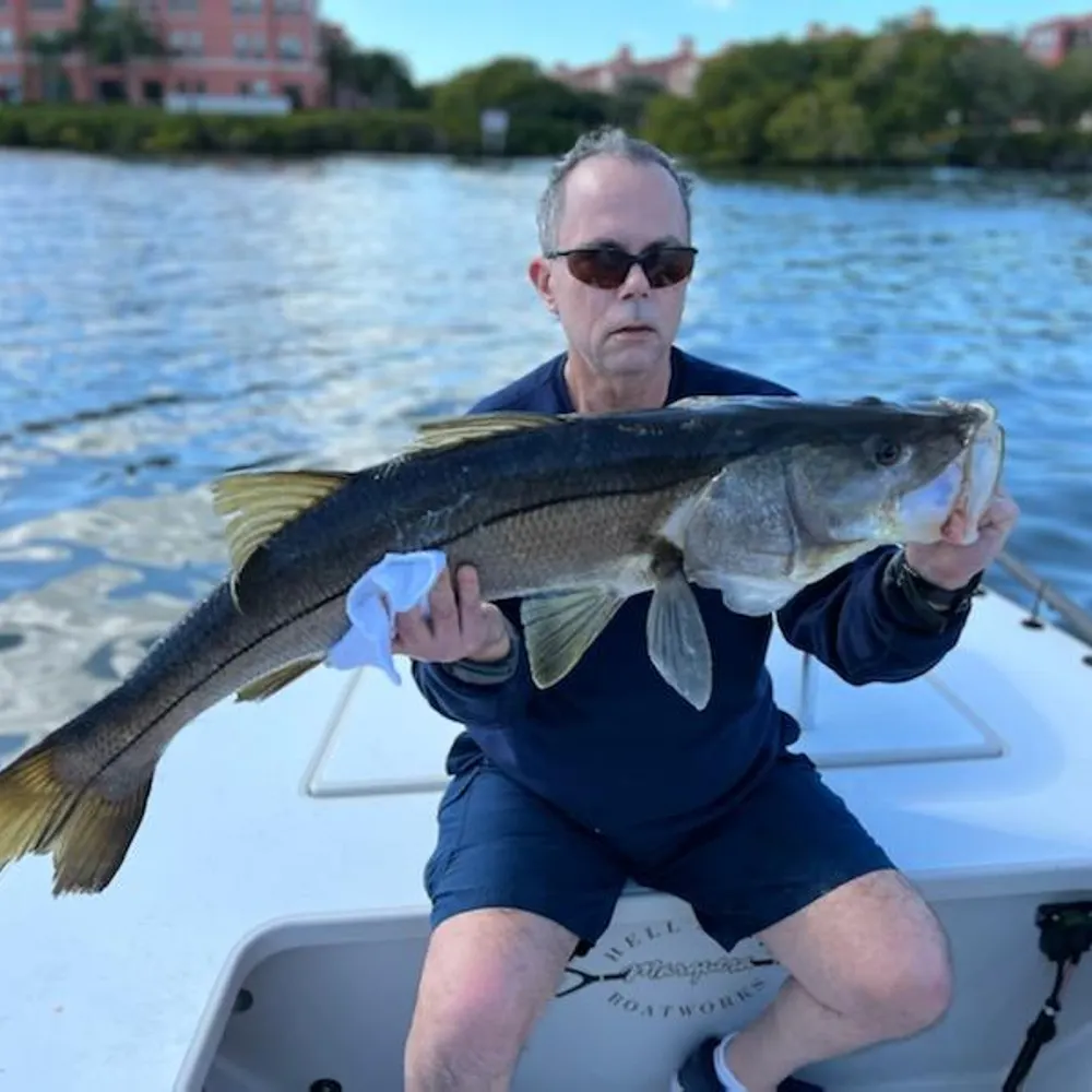 robertrio.bsky.social's profile picture