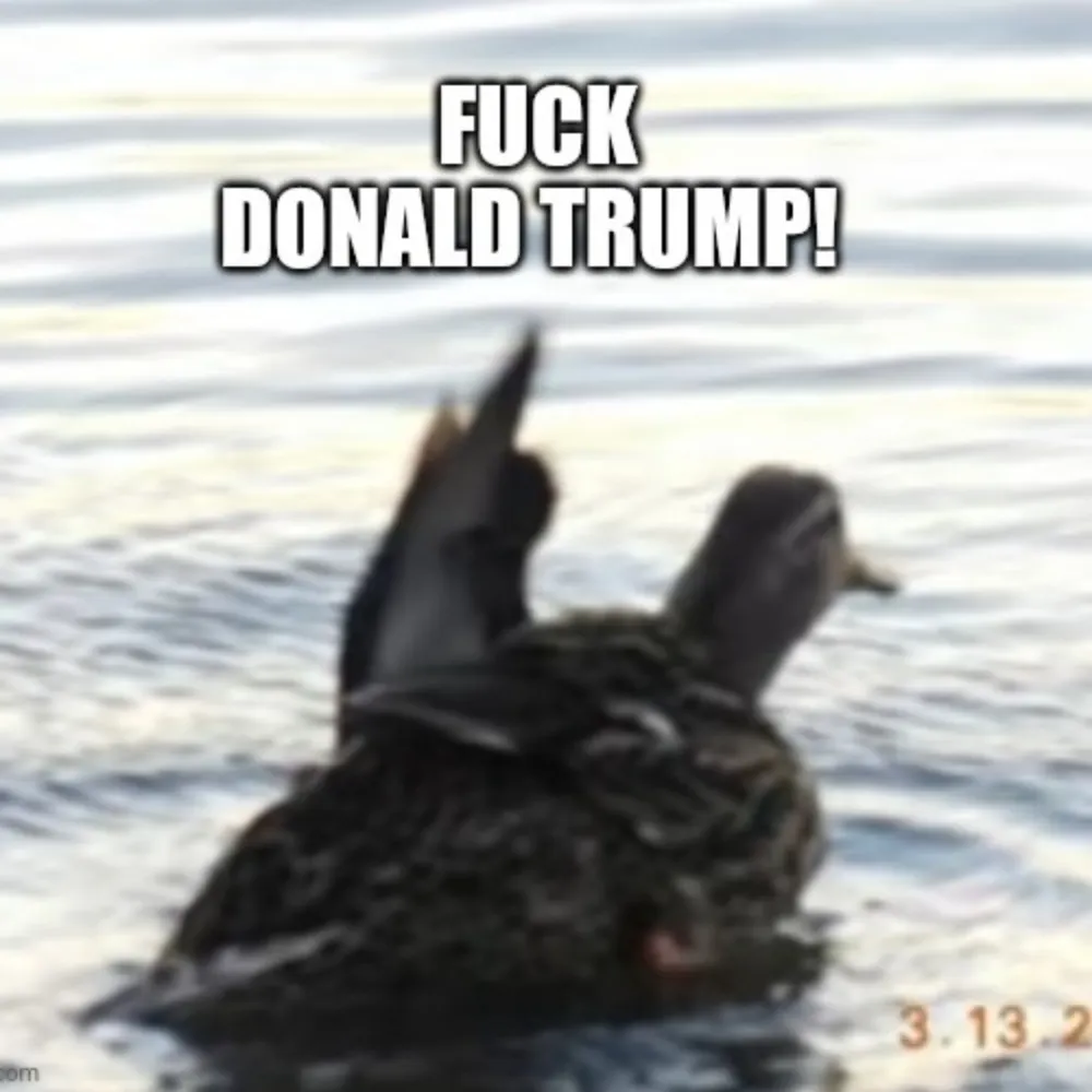 agoodideaatthetime.bsky.social's profile picture