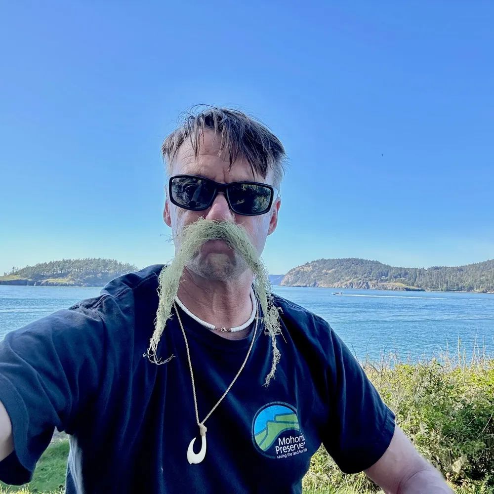 elinissley.bsky.social's profile picture