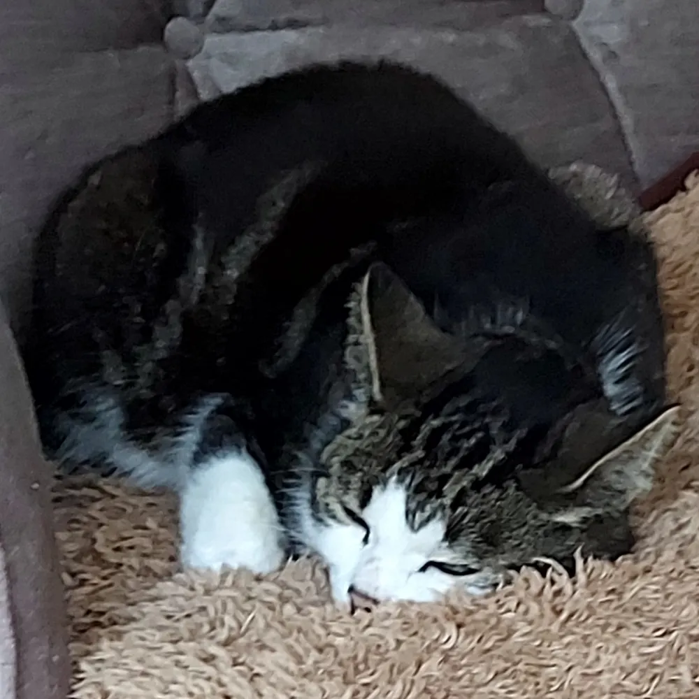 philip1099.bsky.social's profile picture