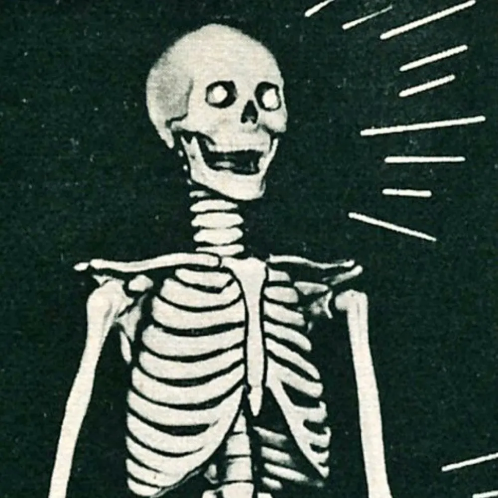 babadookspinoza.bsky.social's profile picture