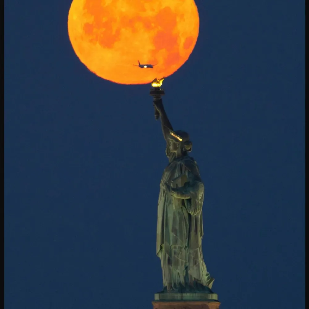 wontlie.bsky.social's profile picture