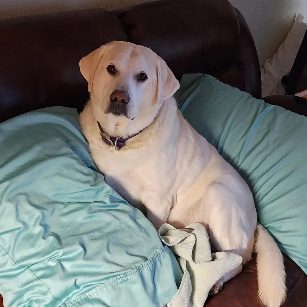 jaconthebrazos.bsky.social's profile picture