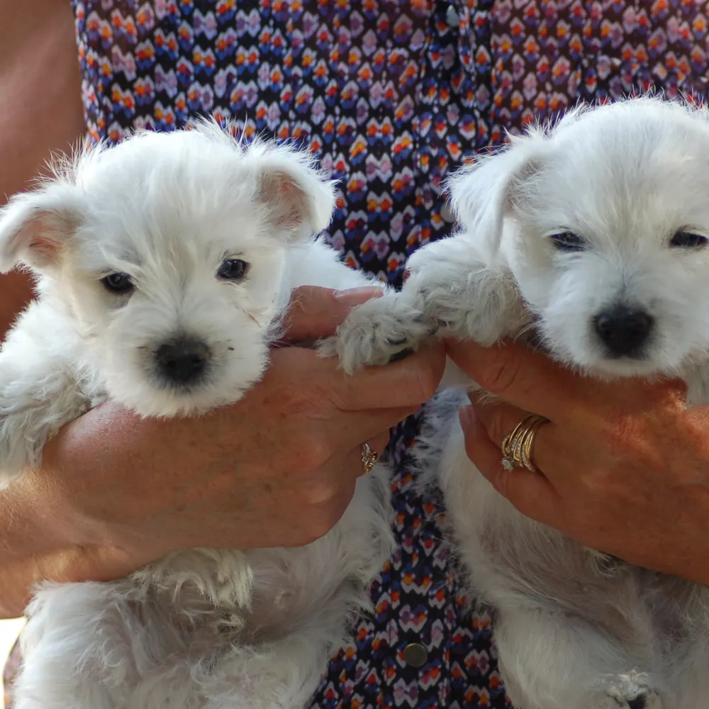 jrtomlin.bsky.social's profile picture