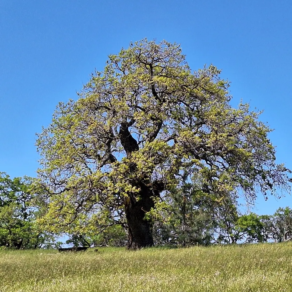 timestop.bsky.social's profile picture