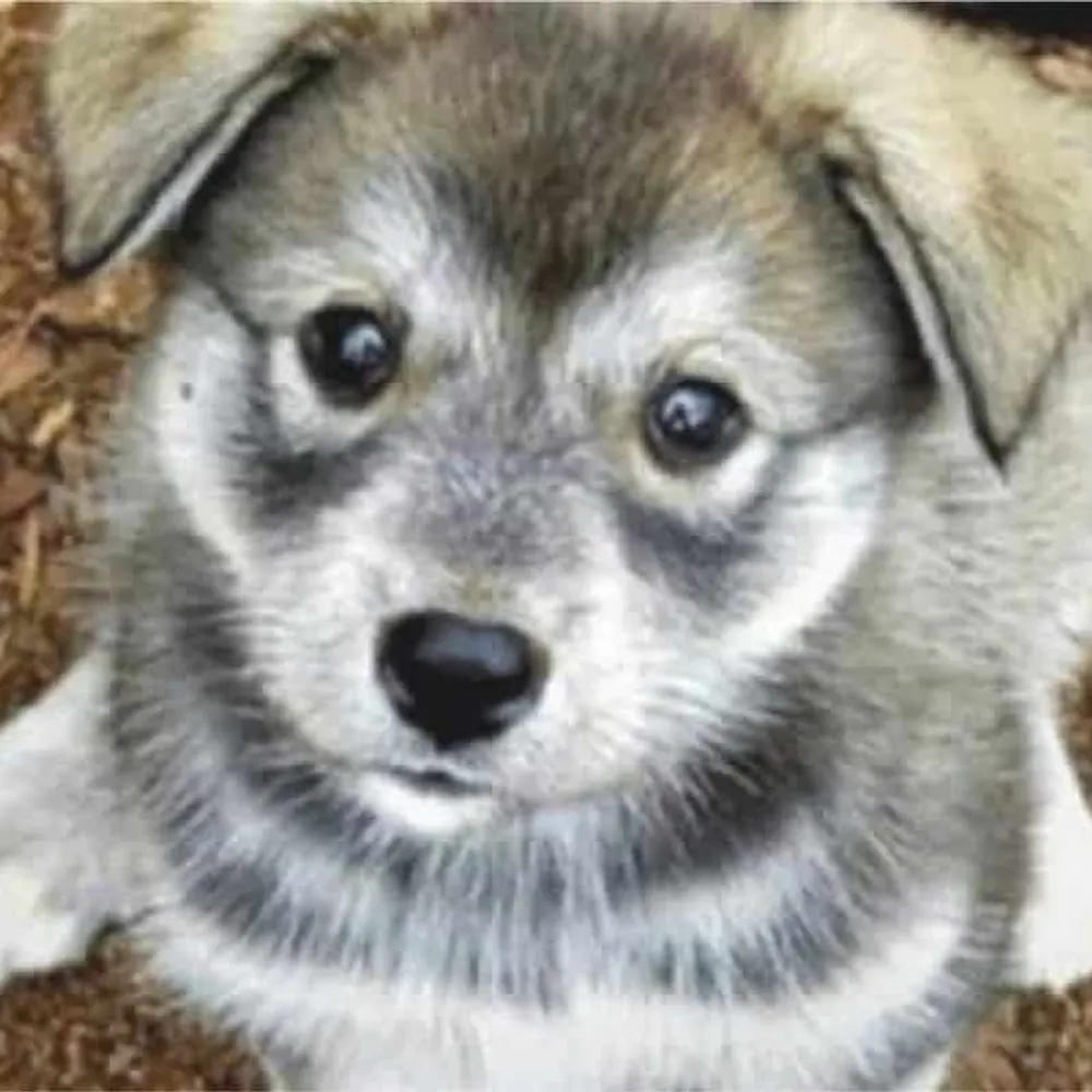 sophiafhc.bsky.social's profile picture