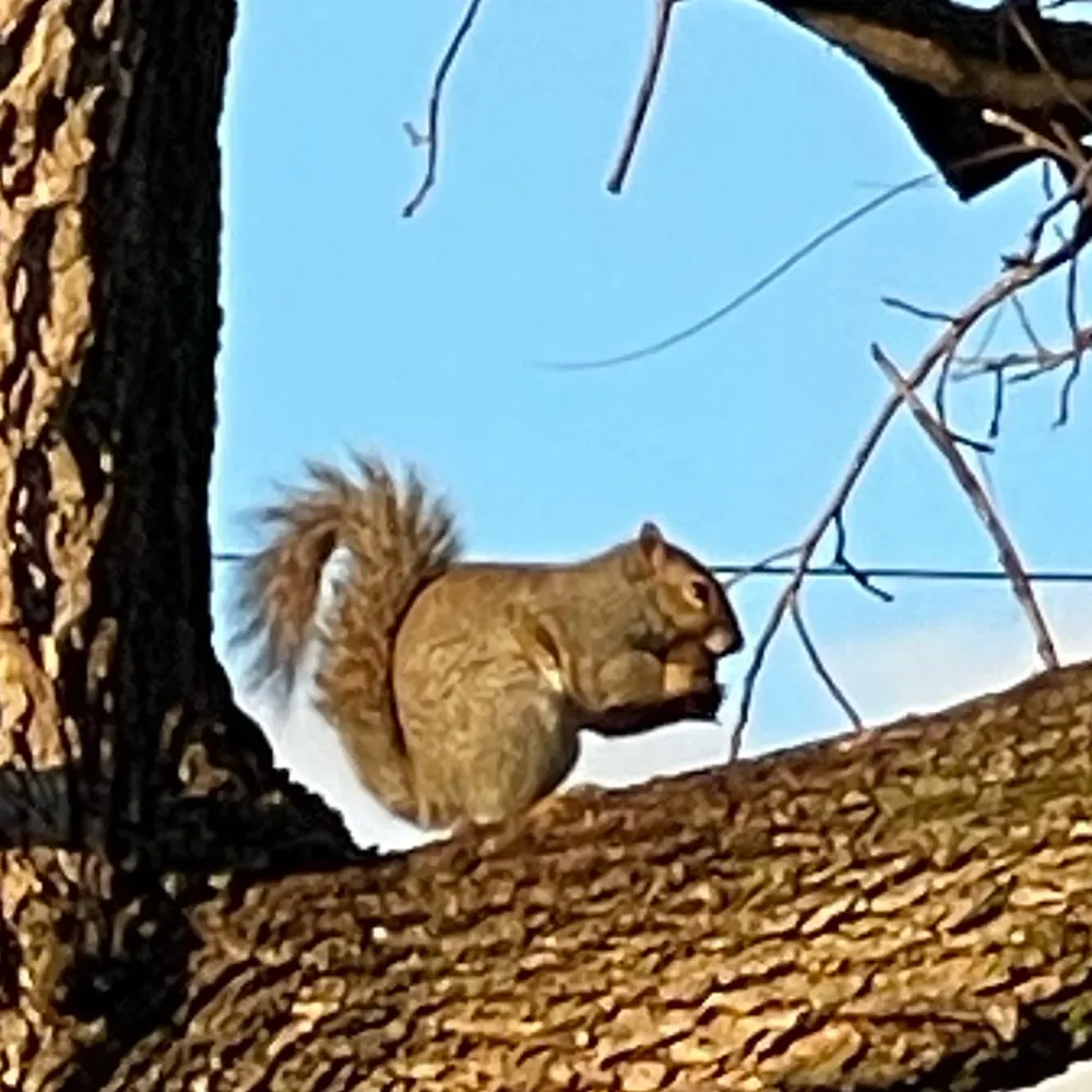 ameridivision.bsky.social's profile picture