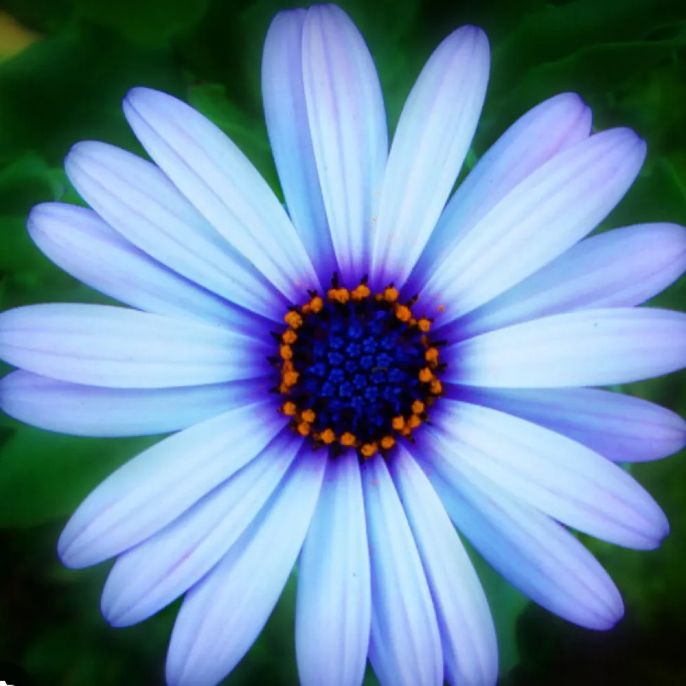 strystee14.bsky.social's profile picture