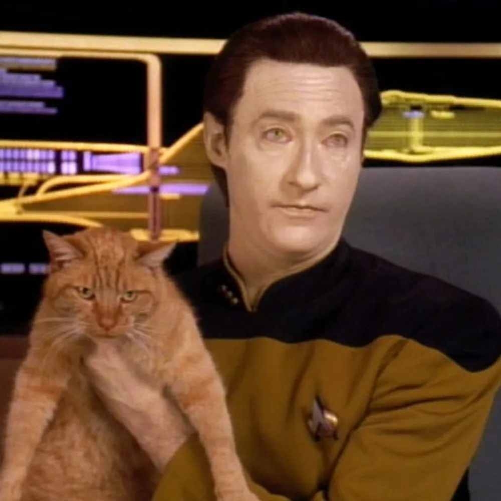 raccoon-overlord.bsky.social's profile picture