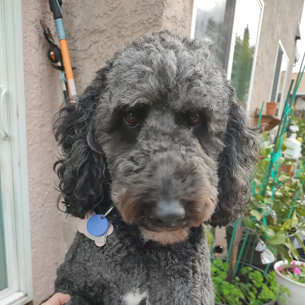 zigzagity.bsky.social's profile picture