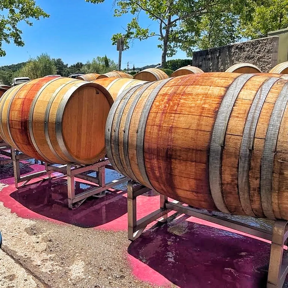 chefinthevineyard.bsky.social's profile picture