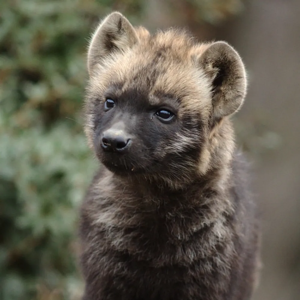 riverhyme.bsky.social's profile picture