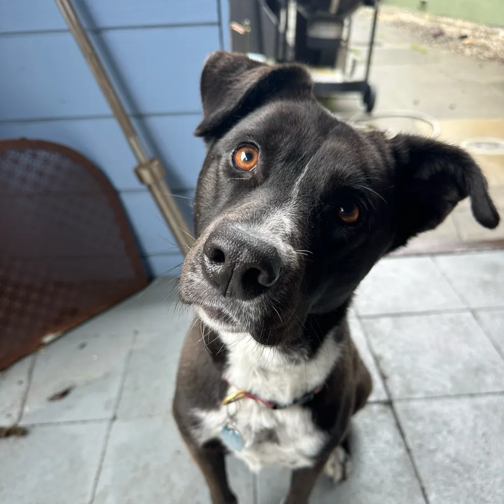 thinkingrealhard.bsky.social's profile picture