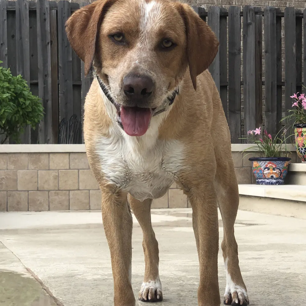 cassie-sommers.bsky.social's profile picture