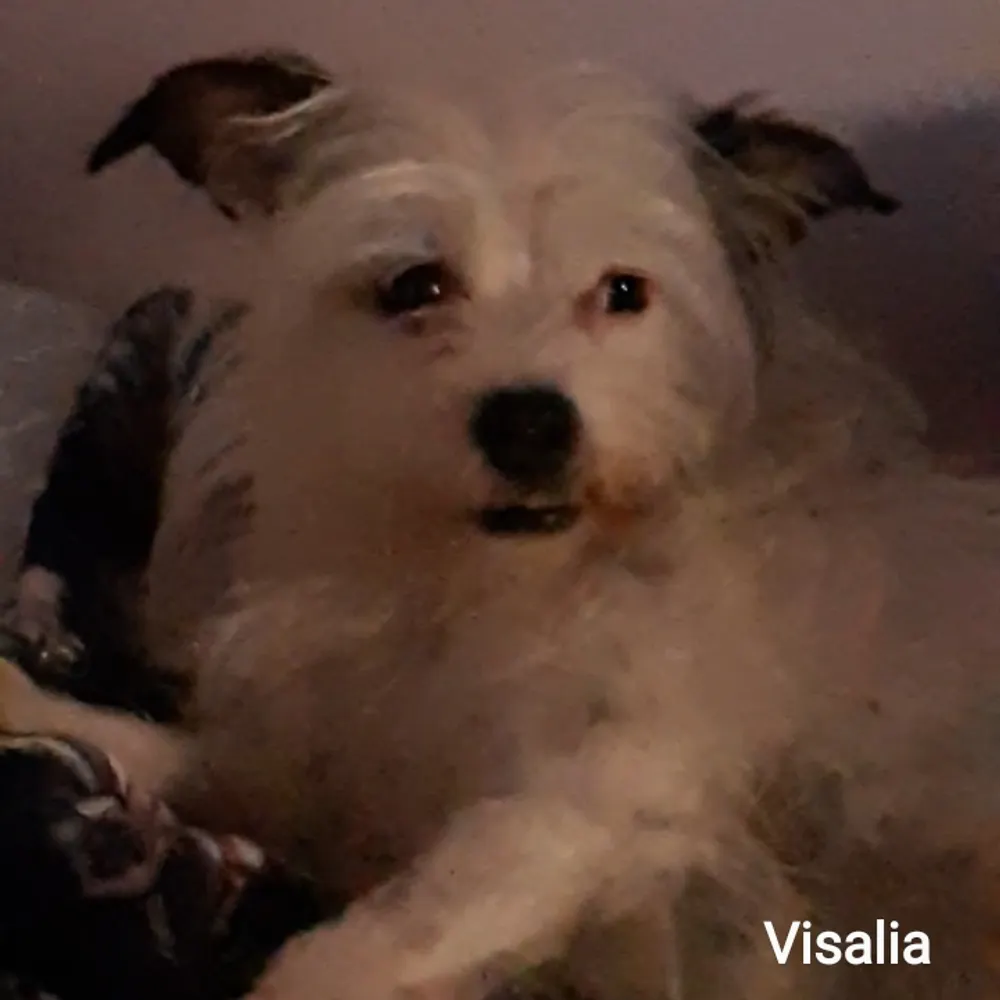 fullrange.bsky.social's profile picture