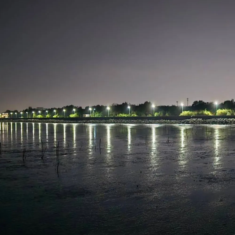 handlemchandface.bsky.social's profile picture