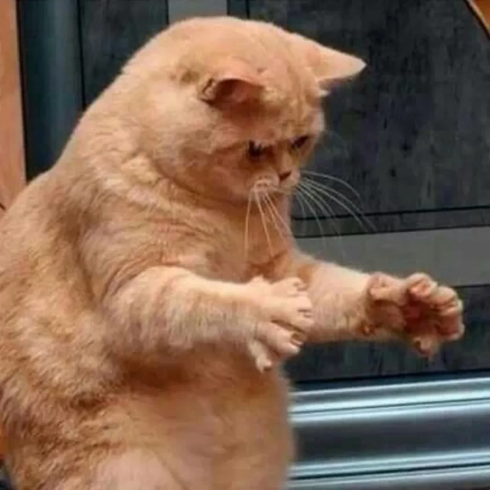 mateohh.bsky.social's profile picture