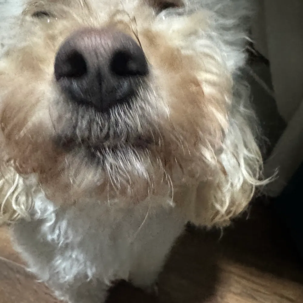 0-2-4-6-8-10-12-14.bsky.social's profile picture