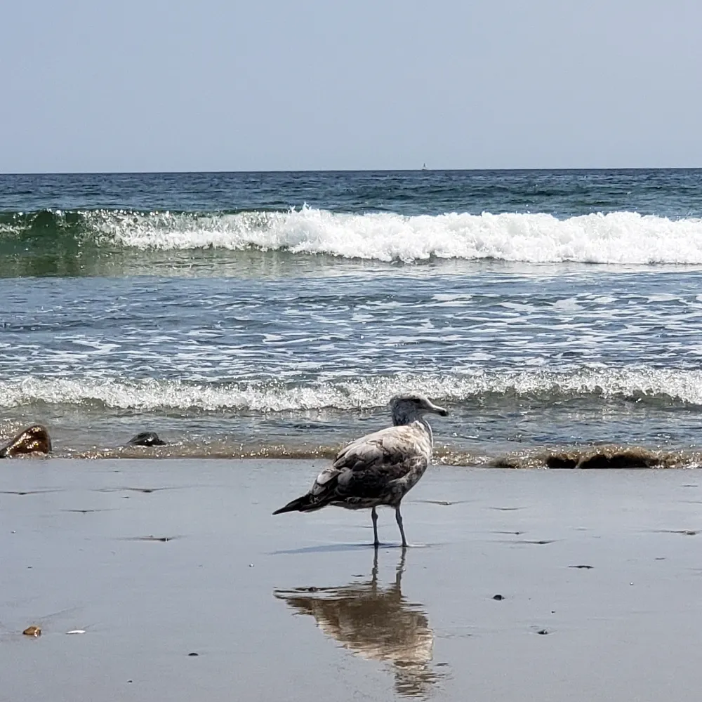 go-ezier-and-enjoy.bsky.social's profile picture