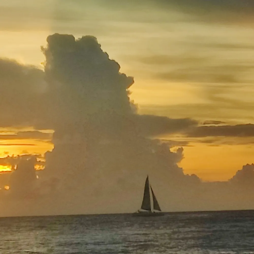 ricofrite.bsky.social's profile picture