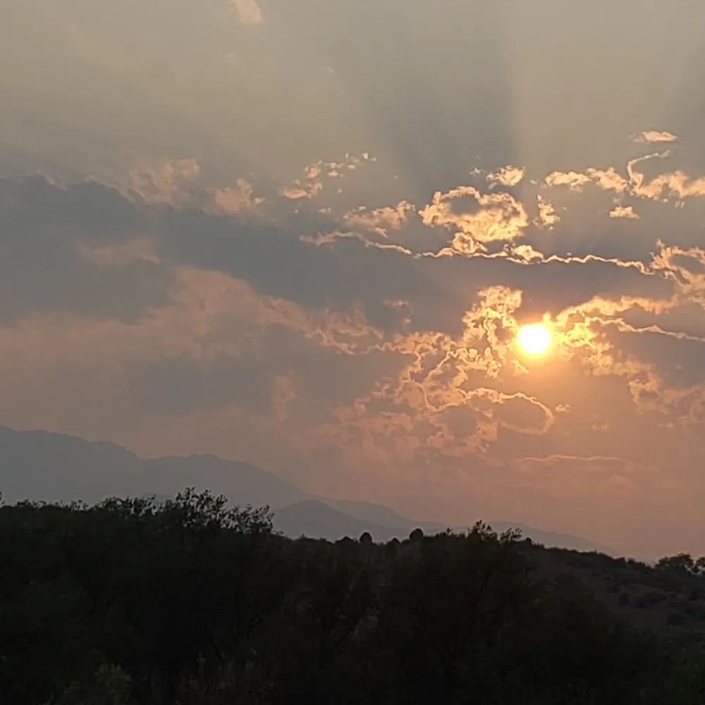 amadis.bsky.social's profile picture