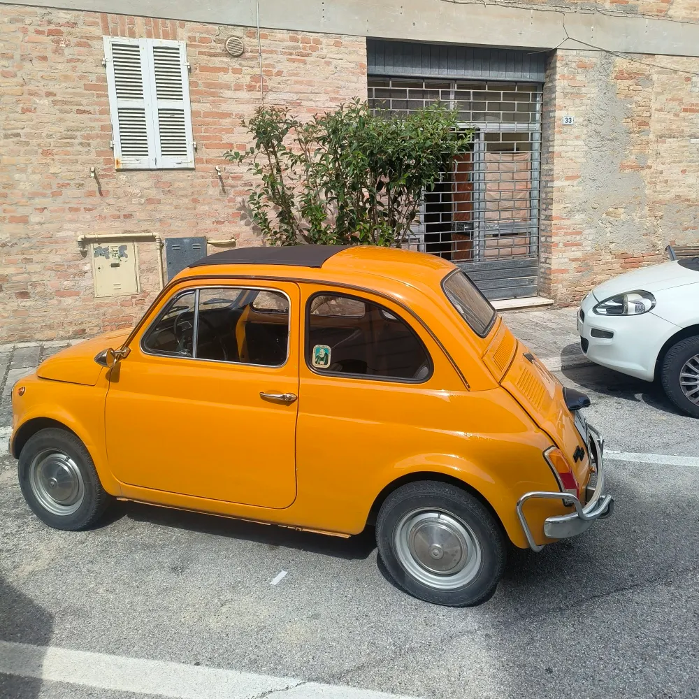 eve0m.bsky.social's profile picture