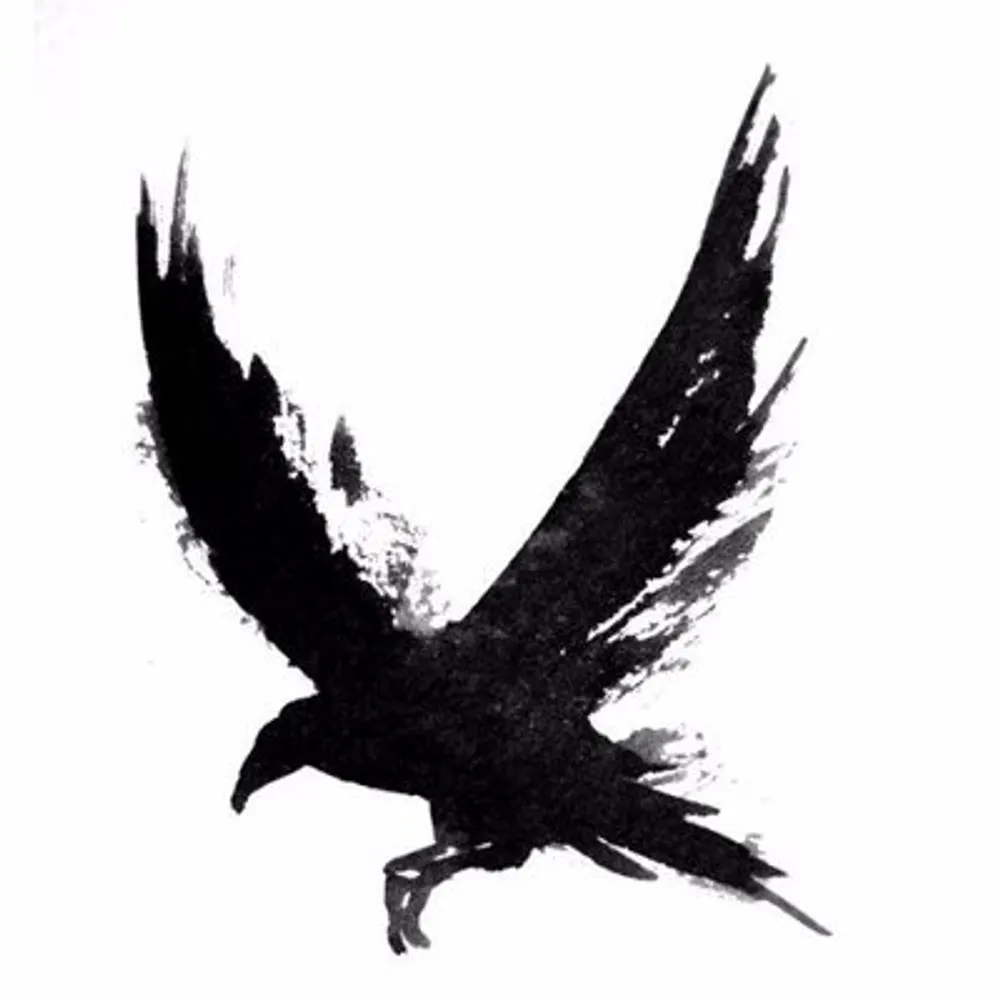 direraven97.bsky.social's profile picture