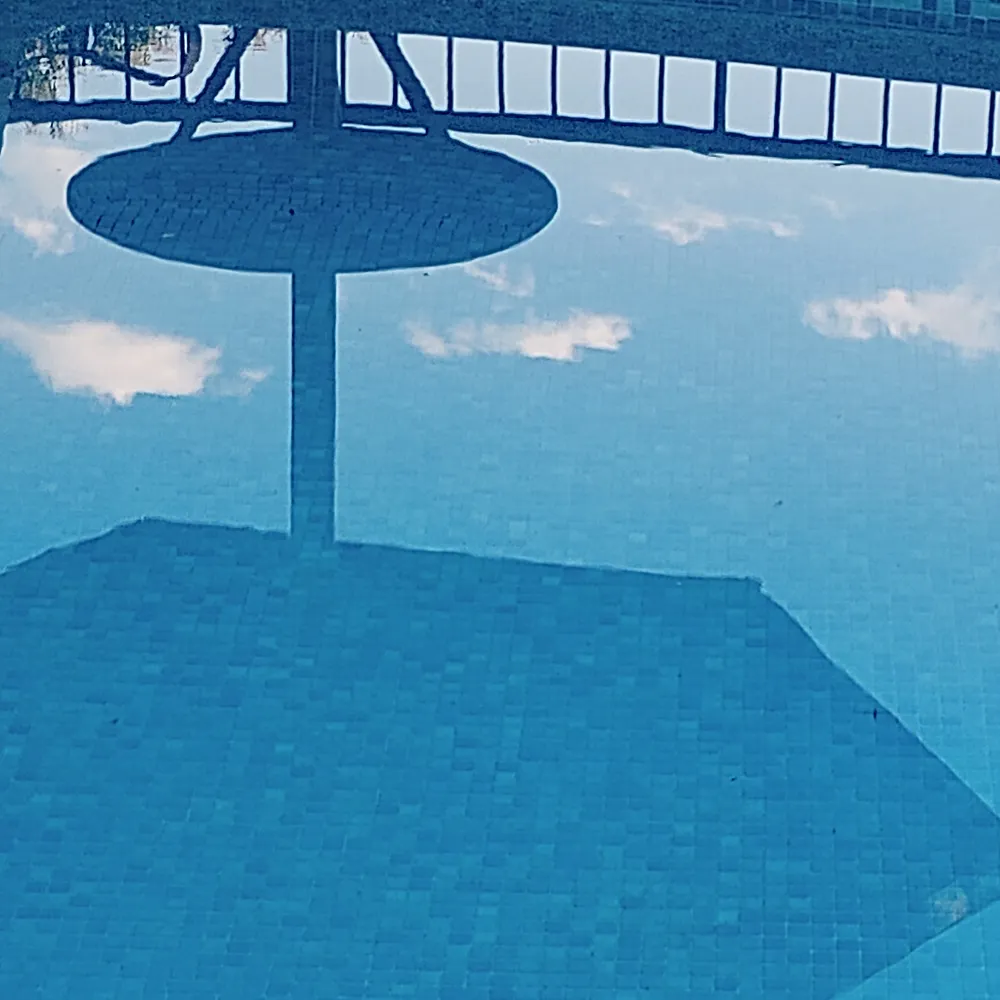 senorsabelotodo.bsky.social's profile picture