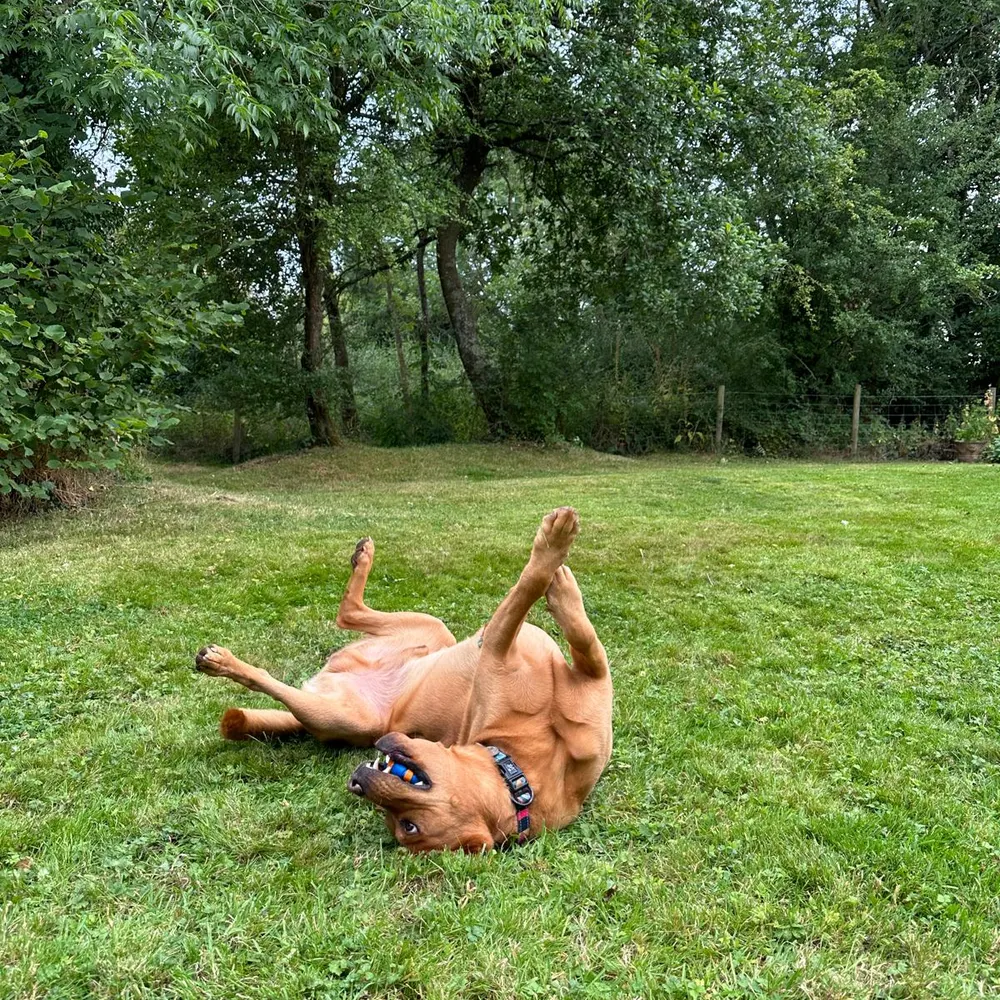 harveyv.bsky.social's profile picture