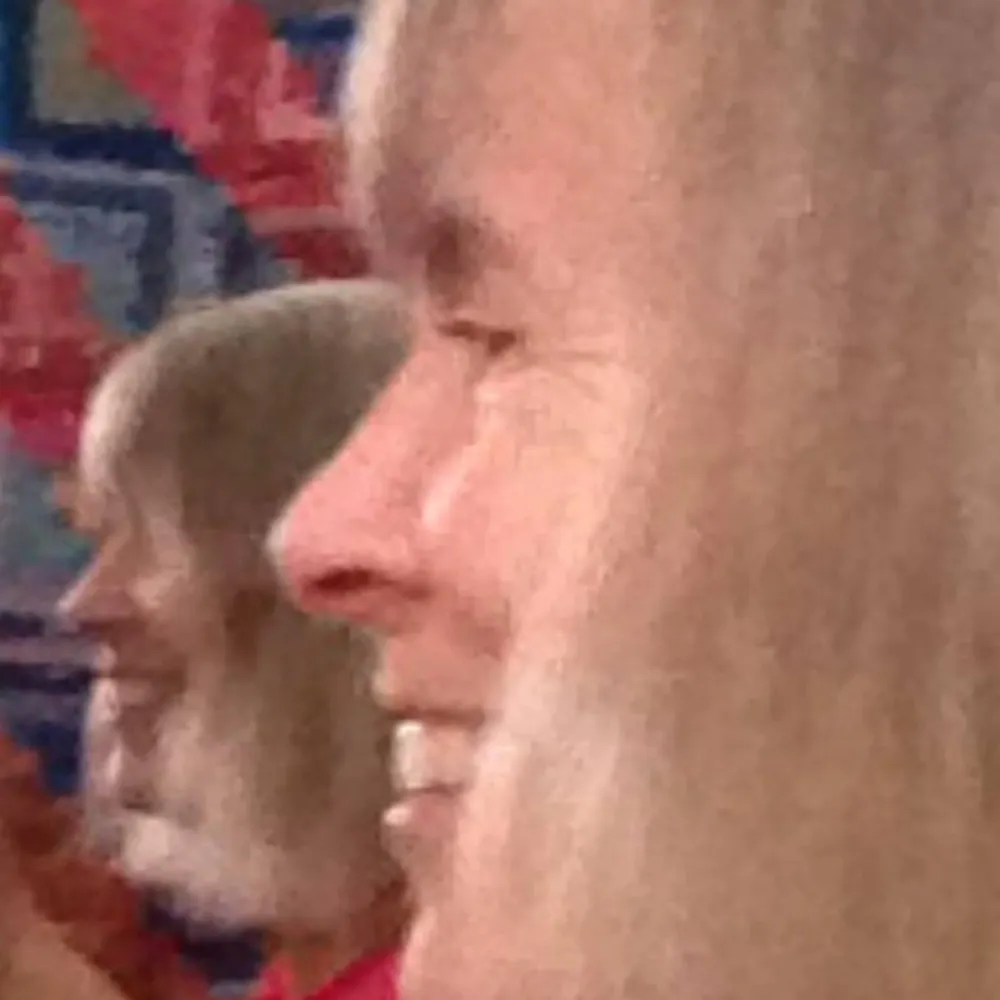 bluebell49.bsky.social's profile picture