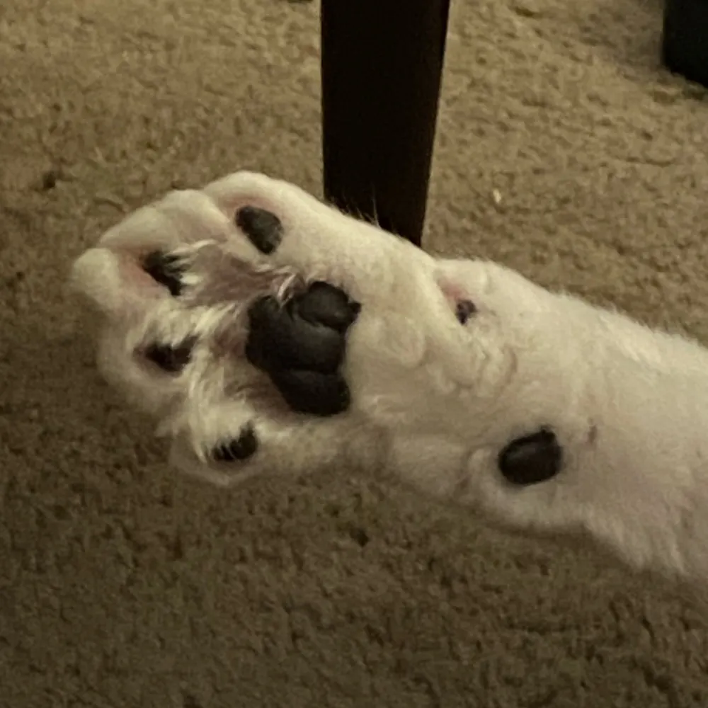 fewrfreyut.bsky.social's profile picture