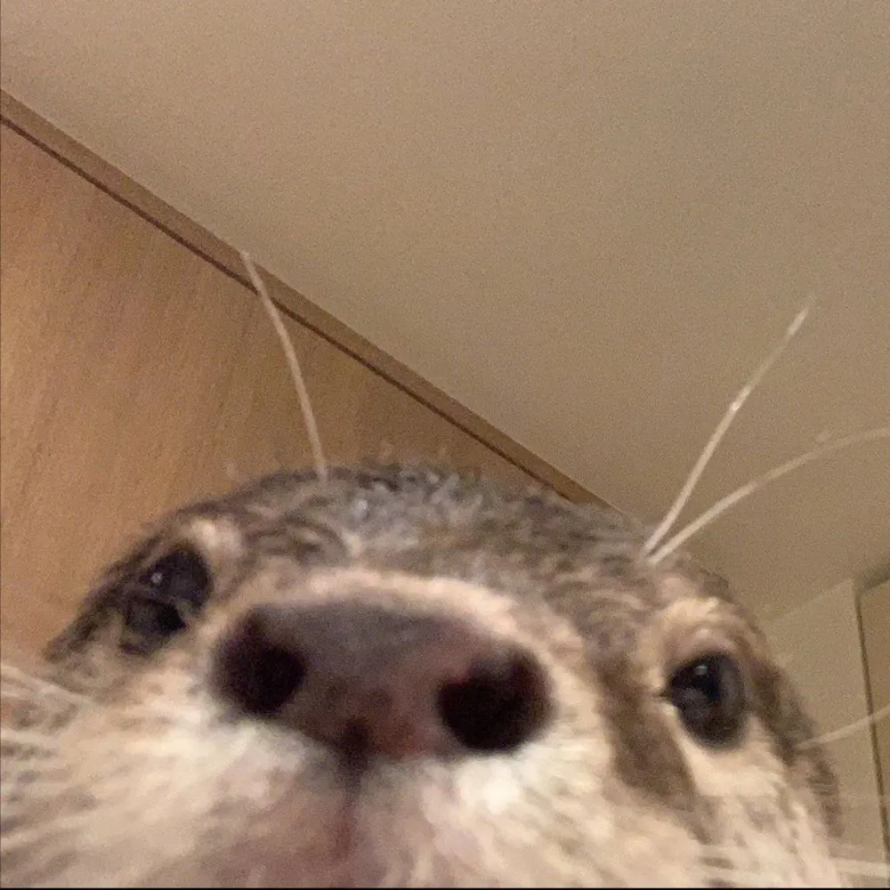 rddr.bsky.social's profile picture