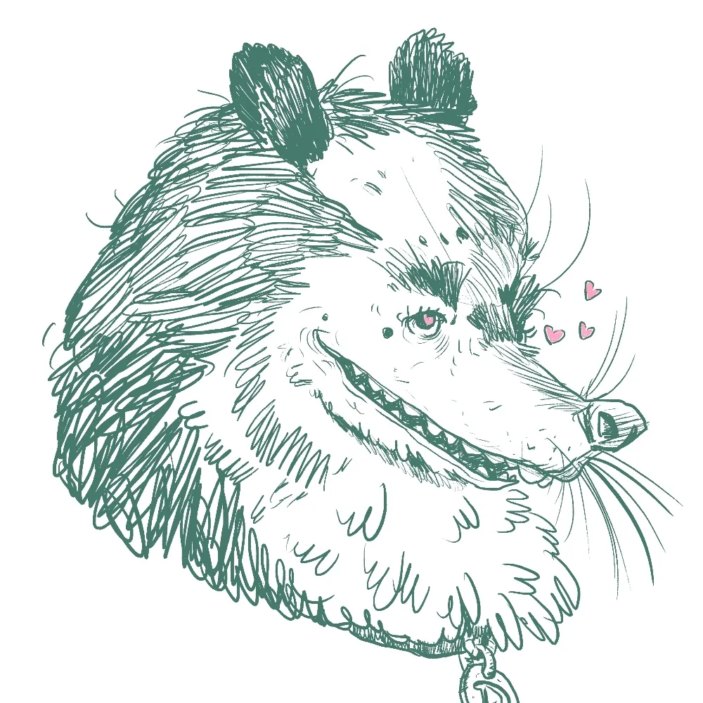 possumdeek.bsky.social's profile picture