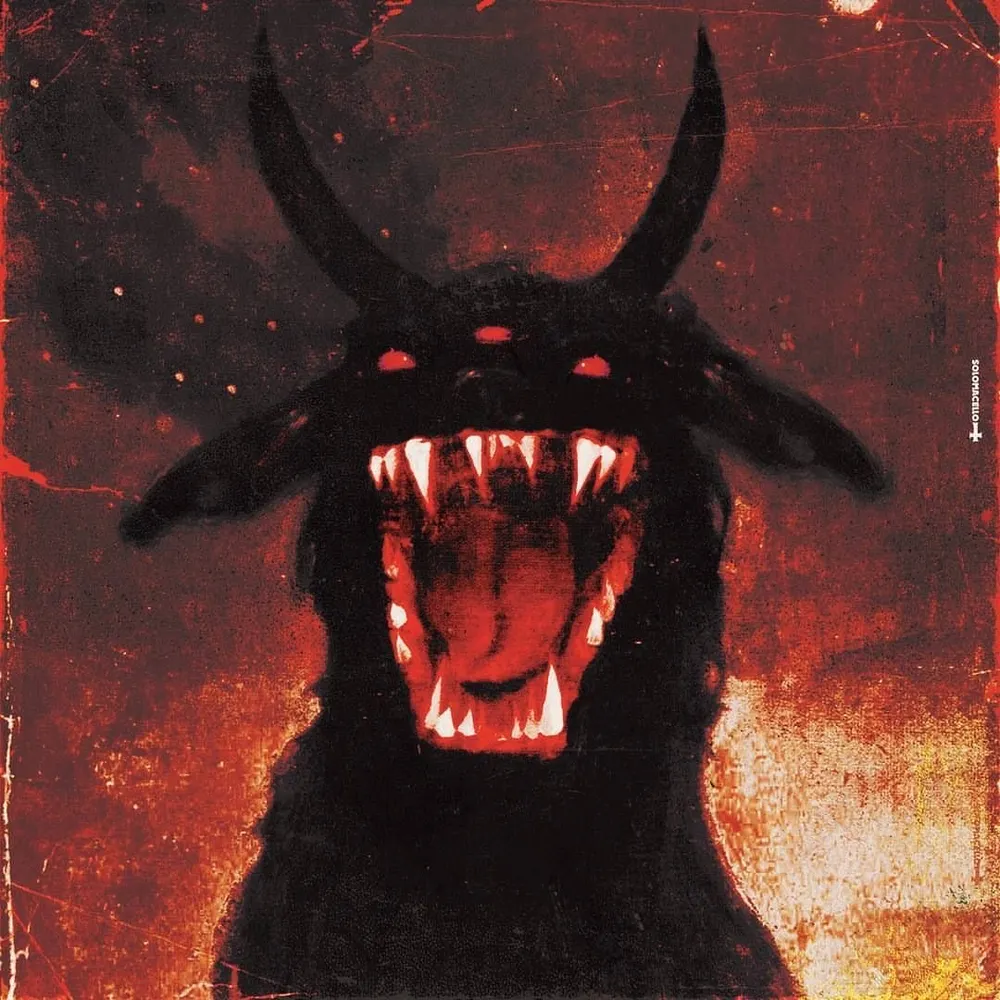 anarcish.bsky.social's profile picture