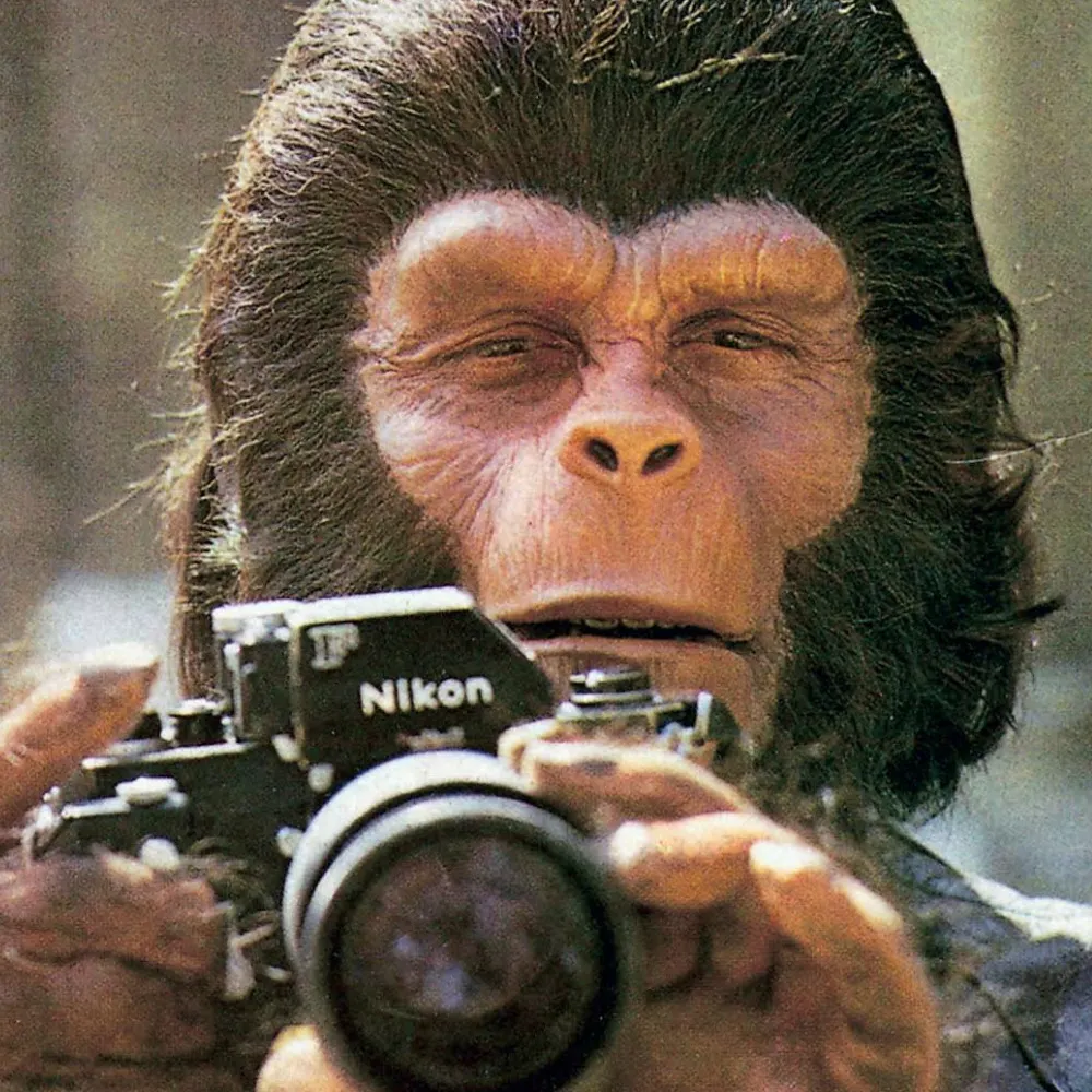 objectiveunlocked.bsky.social's profile picture