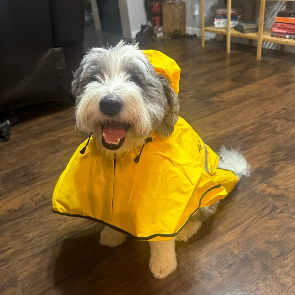 rachelbitecofer.bsky.social's profile picture