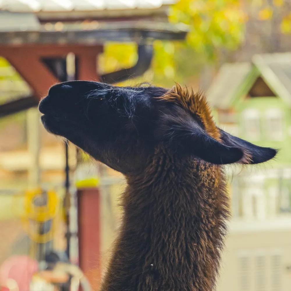 puppetmasterk10.bsky.social's profile picture