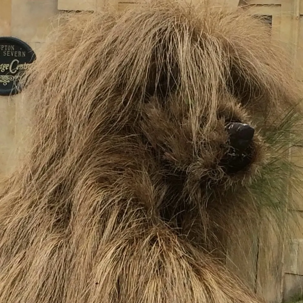 petere252.bsky.social's profile picture